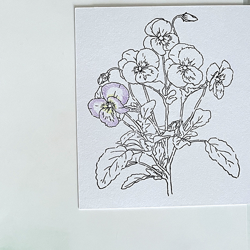 Kleur de randjes met potlood.