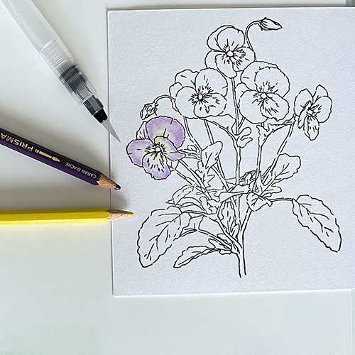 Potloodrandje uitgesmeerd met het waterpenseel.